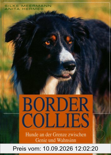 Border Collies: Hunde auf der Grenze zwischen Genie und Wahnsinn