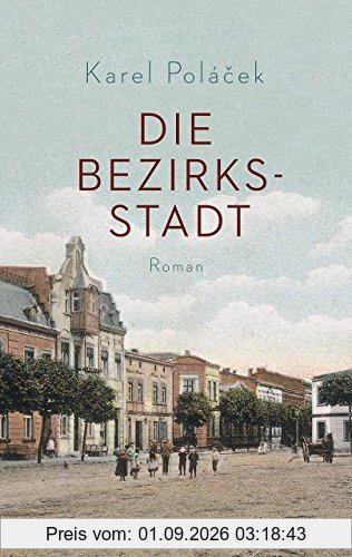 Die Bezirksstadt: Roman