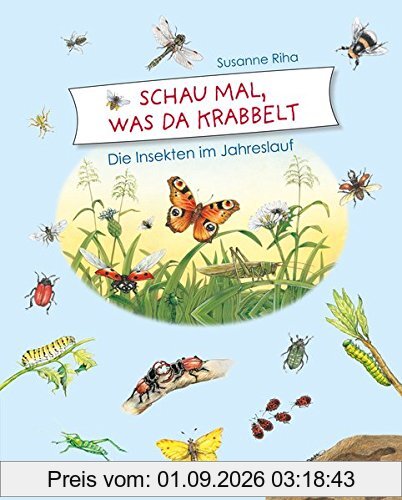 Schau mal, was da krabbelt: Die Insekten im Jahreslauf