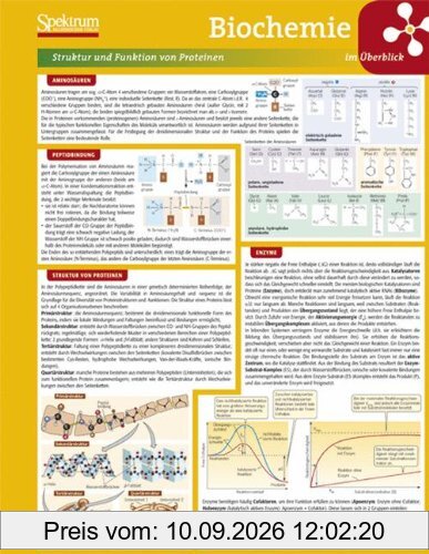 Lerntafel: Biochemie im Überblick (Lerntafeln Biologie)