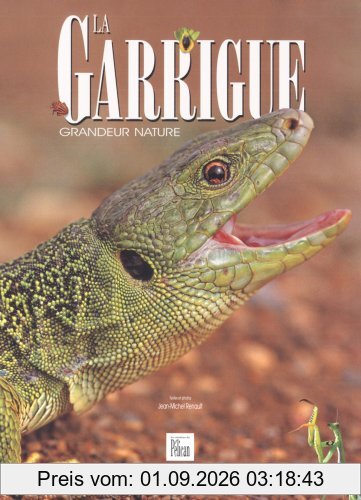 La garrigue : grandeur nature