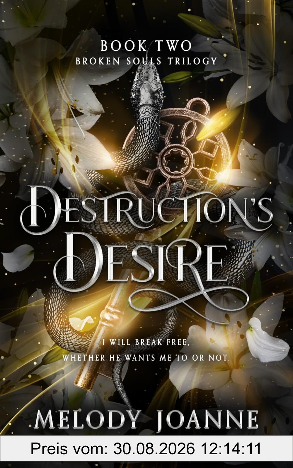 Destruction's Desire (Broken Souls Trilogy, Band 2)