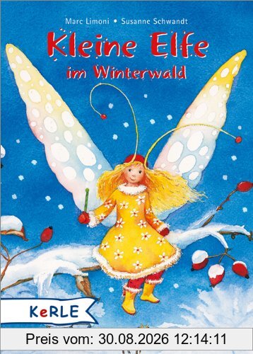 Kleine Elfe im Winterwald