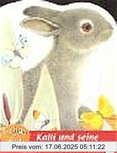 Binding : Gebundene Ausgabe, Label : Arena, Publisher : Arena, medium : Gebundene Ausgabe, numberOfPages : 12, publicationDate : 2002-06-01, authors : Maurice Pledger, ISBN : 3401083686