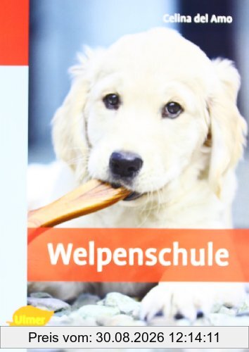 Welpenschule