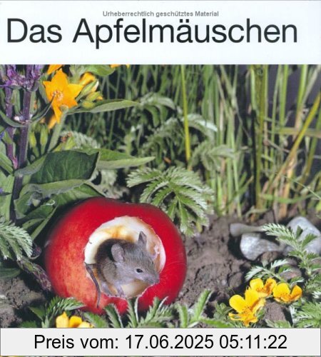 Binding : Gebundene Ausgabe, Edition : 25, Label : Patmos, Publisher : Patmos, medium : Gebundene Ausgabe, numberOfPages : 40, publicationDate : 1999-01-01, authors : Ulrich Thomas, Mathilde Reich, ISBN : 3491420075