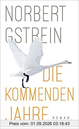 Die kommenden Jahre: Roman