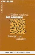 Die Ameisen: Biologie und Verhalten