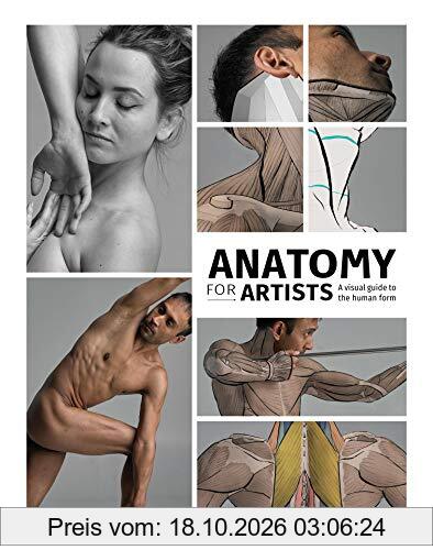 Anatomy for Artists: A visual guide to the human form (3d Total Pub)