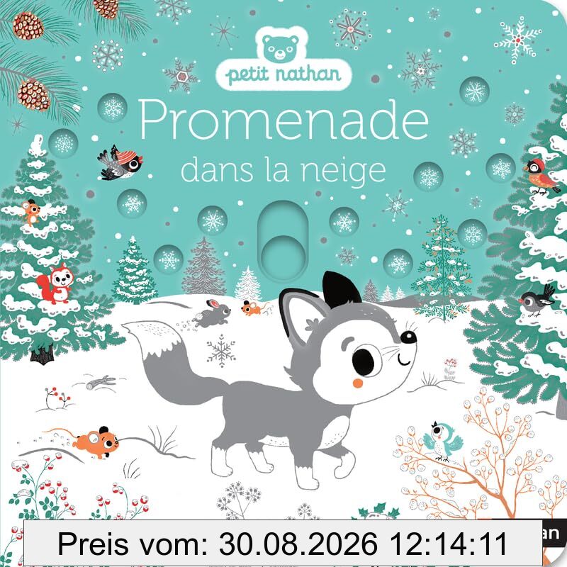 Promenade dans la neige