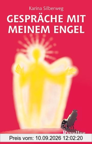 Gespräche mit meinem Engel: Es muß nicht gleich der liebe Gott sein