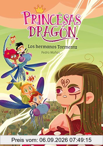 Los hermanos Tormenta (Princesas Dragón, Band 5)