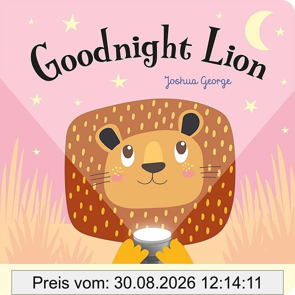 Goodnight Lion (Magic Torch Books)