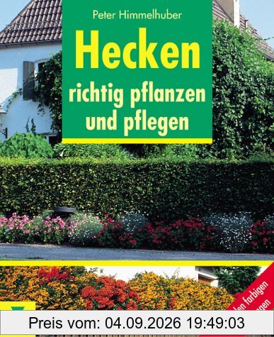Hecken richtig pflanzen und pflegen