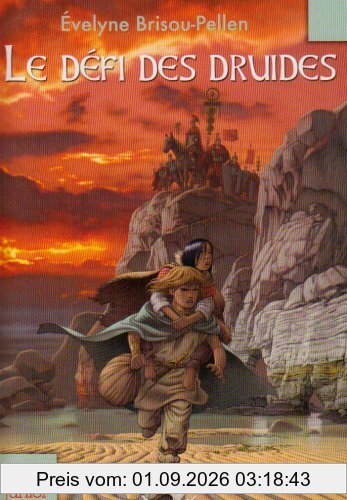 Le défi des druides