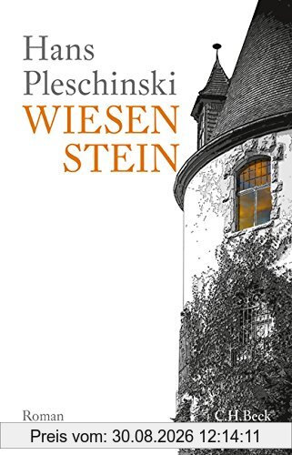 Wiesenstein: Roman