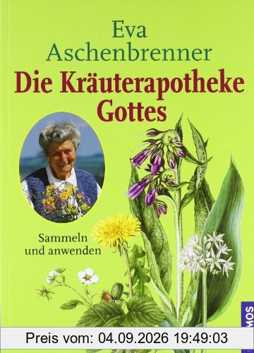 Die Kräuterapotheke Gottes: Sammeln und anwenden