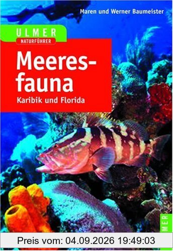 Meeresfauna Karibik und Florida