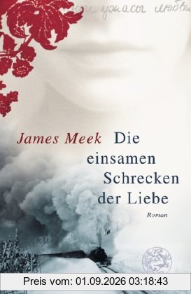 Die einsamen Schrecken der Liebe: Roman