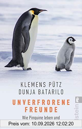 Unverfrorene Freunde: Wie Pinguine leben und warum sie gefährdet sind