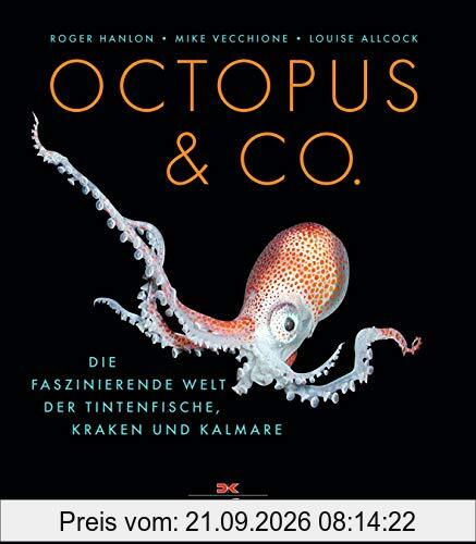 Octopus & Co.: Die faszinierende Welt der Tintenfische, Kraken und Kalmare
