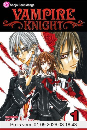 Vampire Knight, Vol. 1: v. 1
