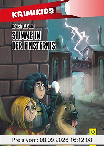 KrimiKids - Stimme in der Finsternis (KrimiKids / Lesemotivation mit einem jungen österreichischen AutorInnenteam)