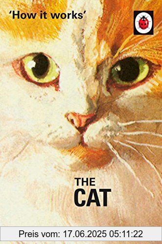 Binding : Gebundene Ausgabe, Edition : 01, Label : Michael Joseph, Publisher : Michael Joseph, medium : Gebundene Ausgabe, numberOfPages : 56, publicationDate : 2016-10-20, releaseDate : 2016-10-20, authors : Jason Hazeley, Joel Morris, languages : english, ISBN : 0718184335