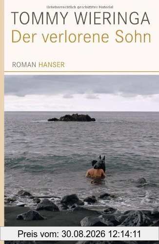 Der verlorene Sohn: Roman