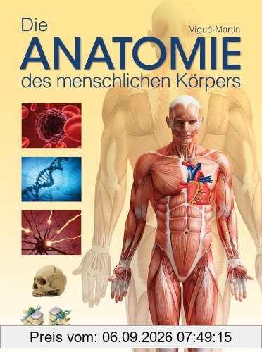 Die Anatomie des menschlichen Körpers