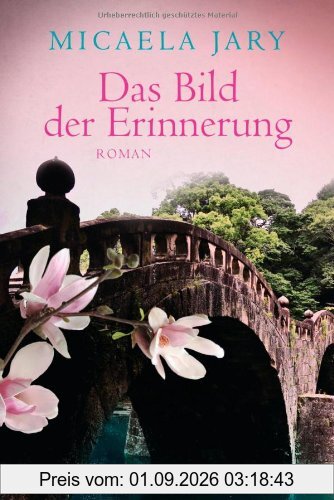 Das Bild der Erinnerung: Roman