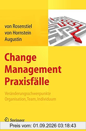 Change Management Praxisfälle: Veränderungsschwerpunkte Organisation, Team, Individuum