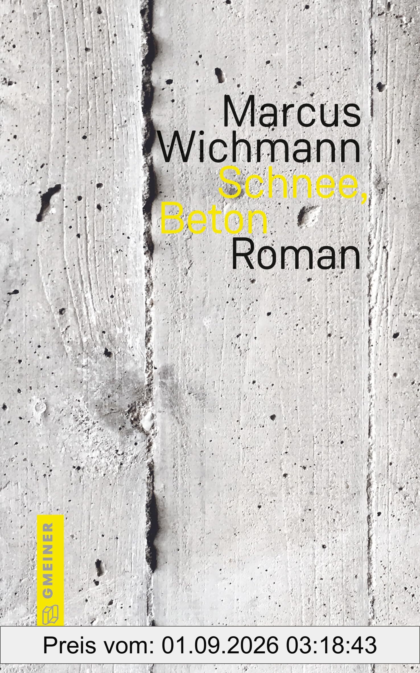 Schnee, Beton: Roman