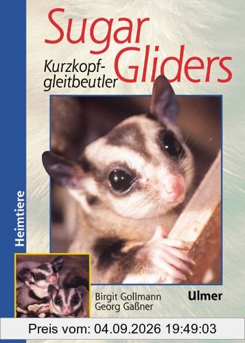 Sugar Gliders. Kurzkopfgleitbeutler
