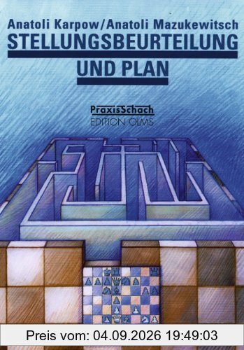 Stellungsbeurteilung und Plan