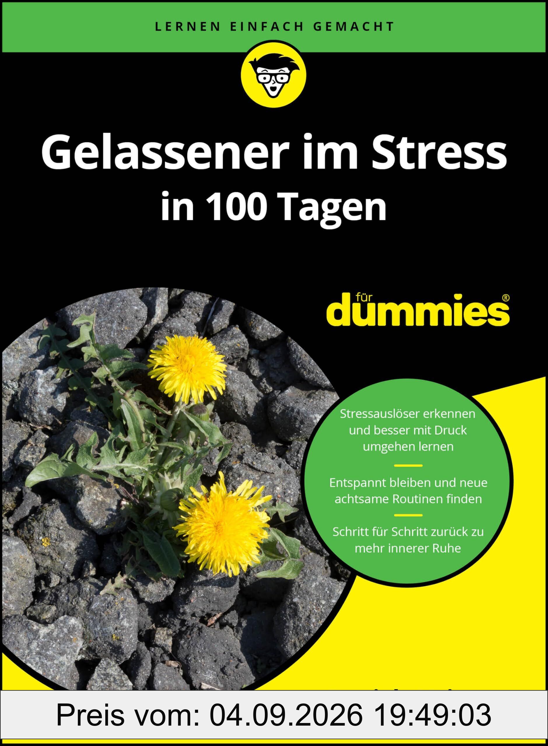 Gelassener im Stress in 100 Tagen für Dummies