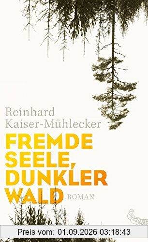 Fremde Seele, dunkler Wald: Roman