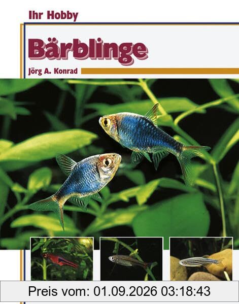 Bärblinge, Ihr Hobby