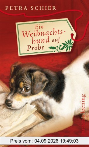 Ein Weihnachtshund auf Probe