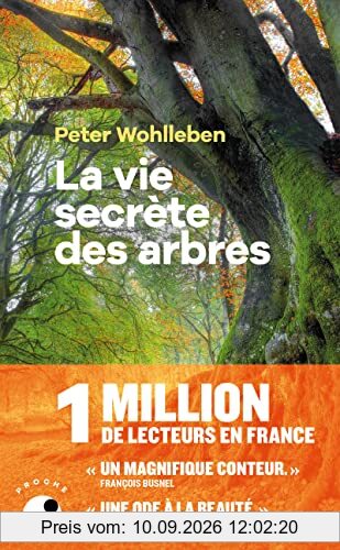 La vie secrète des arbres : ce qu'ils ressentent, comment ils communiquent : un monde inconnu s'ouvre à nous