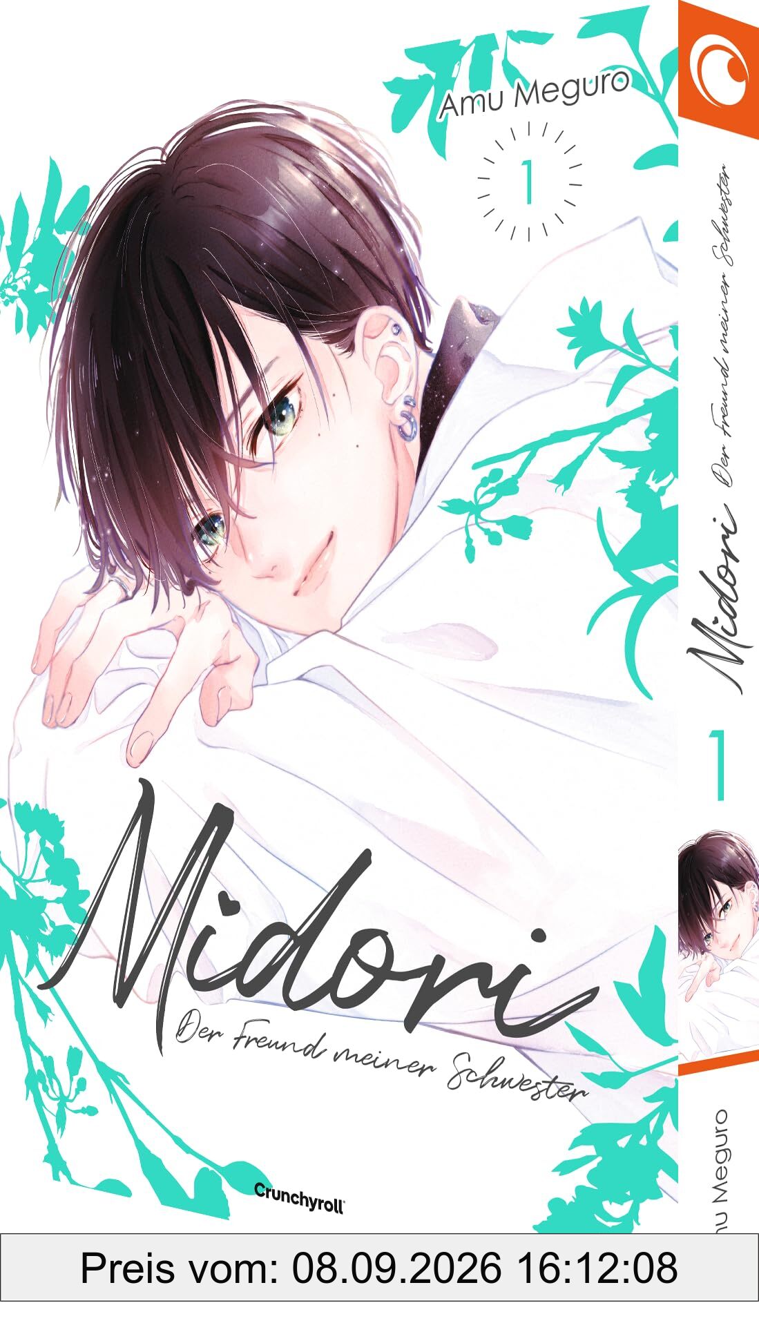 Midori – Der Freund meiner Schwester – Band 1