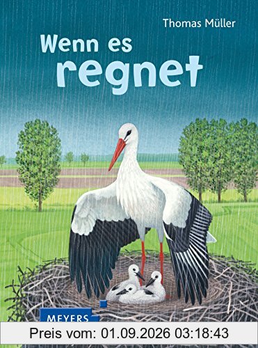 Wenn es regnet