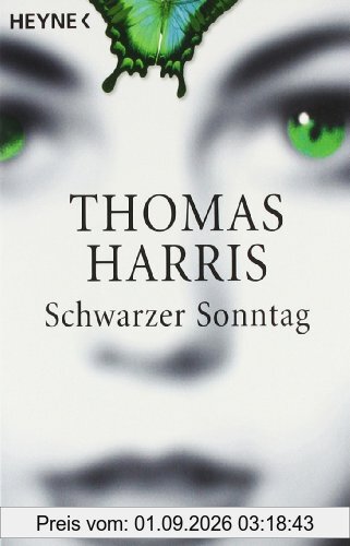 Schwarzer Sonntag: Roman