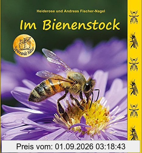 Im Bienenstock (Spannende Natur)