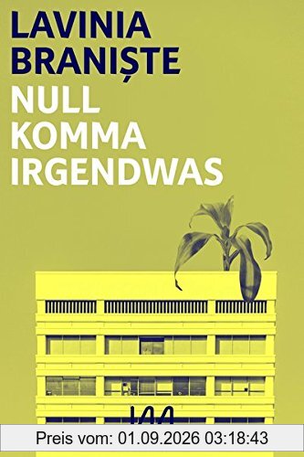 Null Komma Irgendwas: Roman