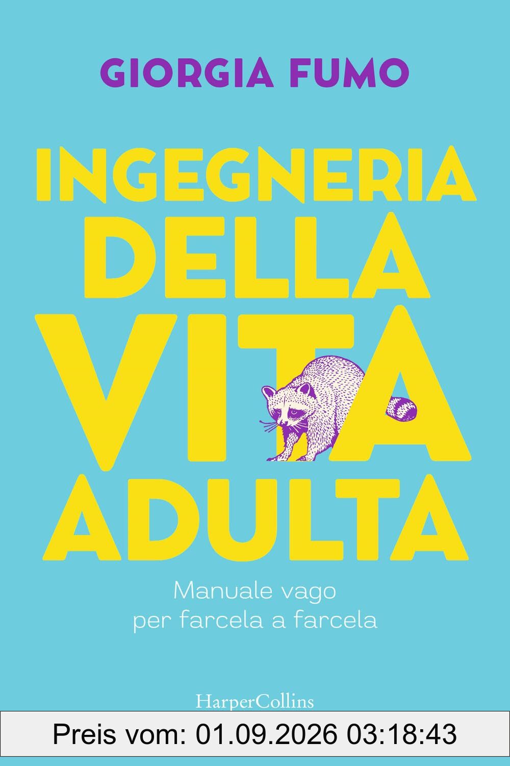 Ingegneria della vita adulta. Manuale vago per farcela a farcela