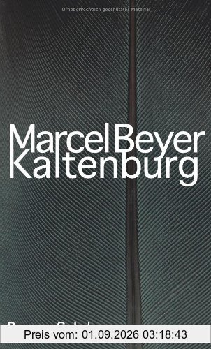 Kaltenburg: Roman
