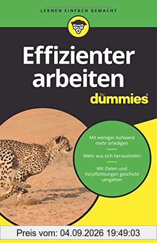 Effizienter arbeiten für Dummies