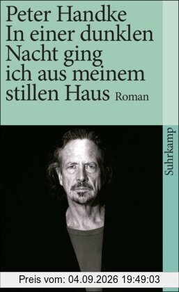In einer dunklen Nacht ging ich aus meinem stillen Haus: Roman (suhrkamp taschenbuch)