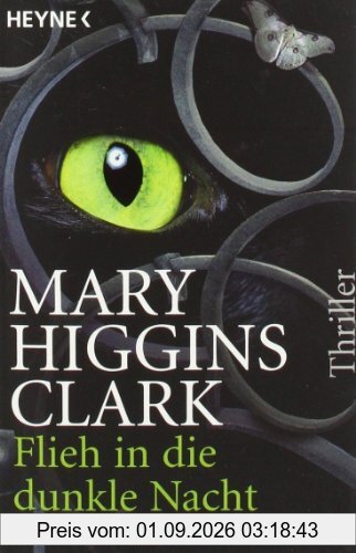 Flieh in die dunkle Nacht: Thriller